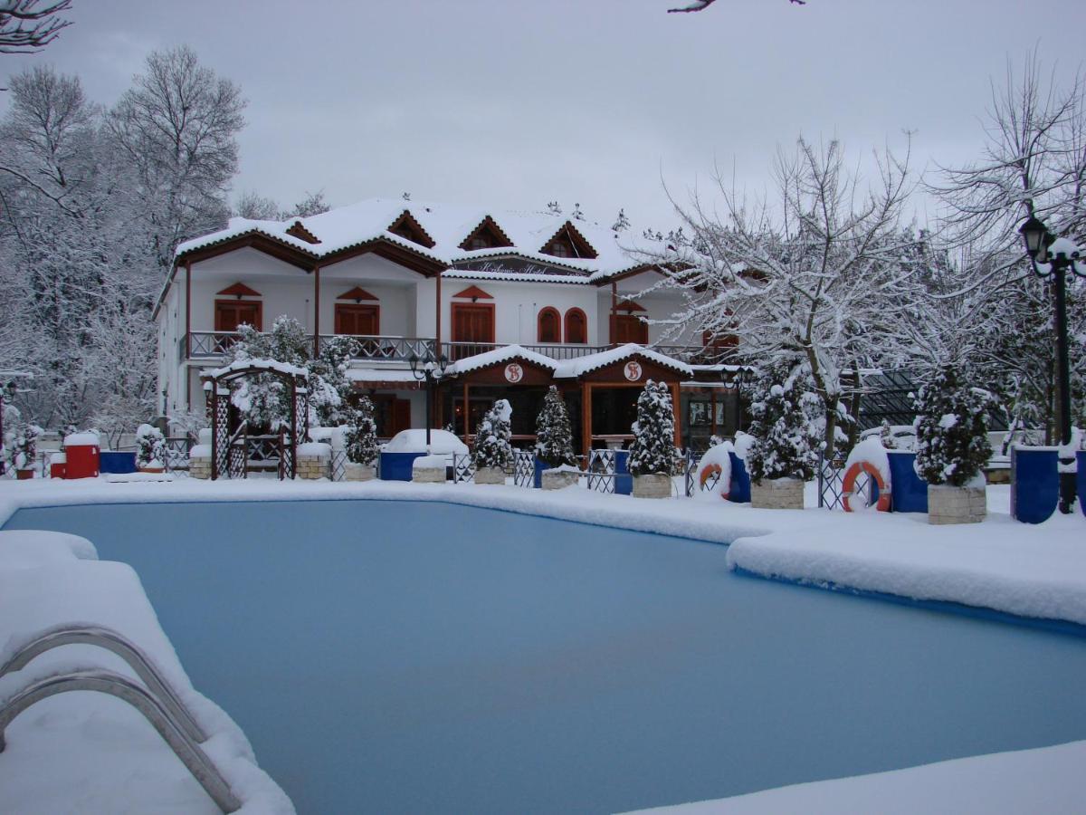 Krikonis Hotel Ioannina Extérieur photo